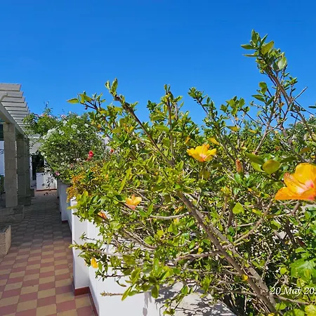 Blife Salinya Private At N125 Olhao